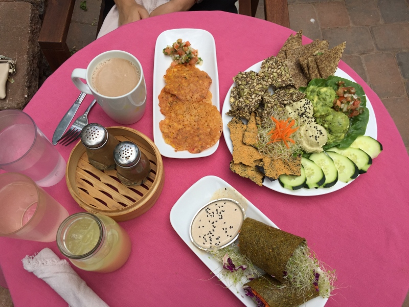 ChocolaTree (800x600).jpg